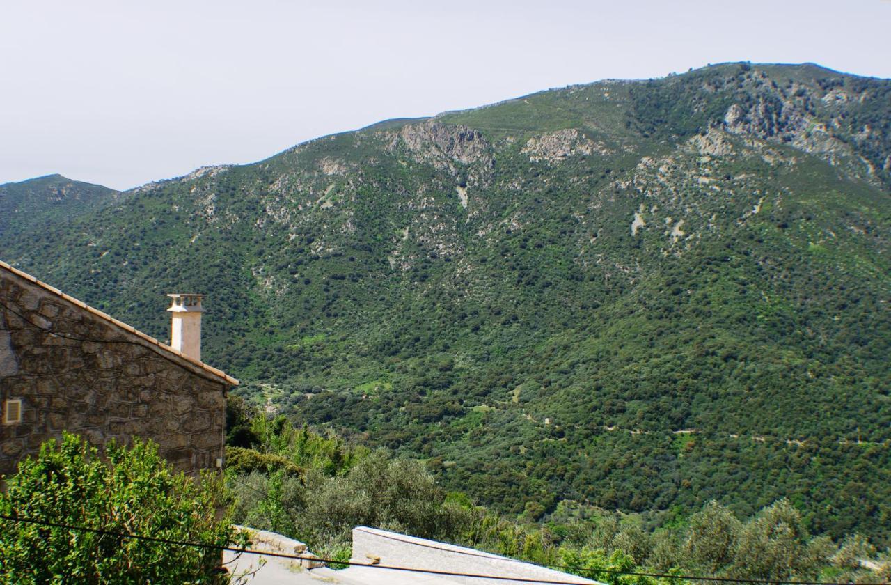 Studio Le Petit Nid D'Amour Meuble Tourisme 3 Etoiles Poggio Santa-Lucia-di-Tallano Buitenkant foto